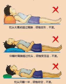 (搜索睡眠乐园)探秘星天乐园睡睡狐：隐秘的乐园中的神秘睡眠之狐