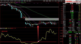 通达信炒股软件手机版官网安装指南：轻松下载安装，快速开启股市交易之旅
