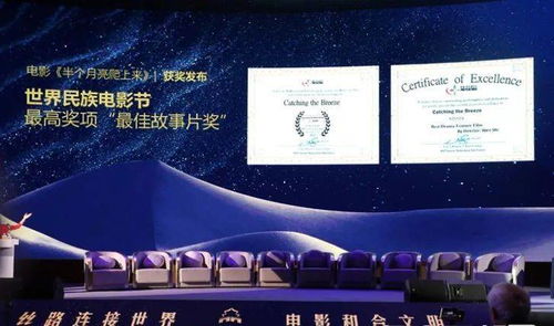 (最佳舞台奖)揭晓世界舞台上的荣誉！最高舞台奖得主获奖名单公布